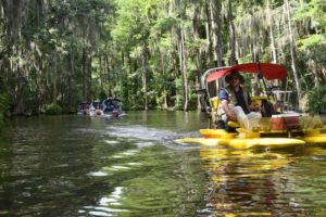 Catboat Adventures